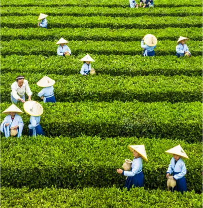 上海杨浦滨江骑行路线怎么走最舒服？租车与补给，我劝你先把这篇看完