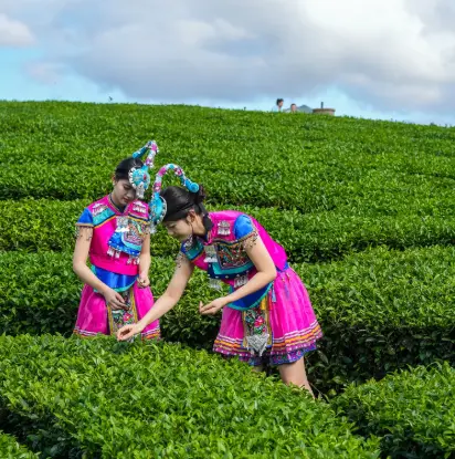 上海下午茶闺蜜聚会去哪？拍照好吃安静｜老洋房高空对比