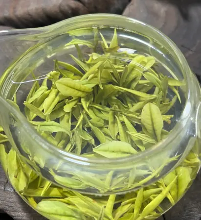 上海桃花源娱乐会所社区 静安黄浦高端私密spa 为何成为周末自驾周边游攻略的首选？